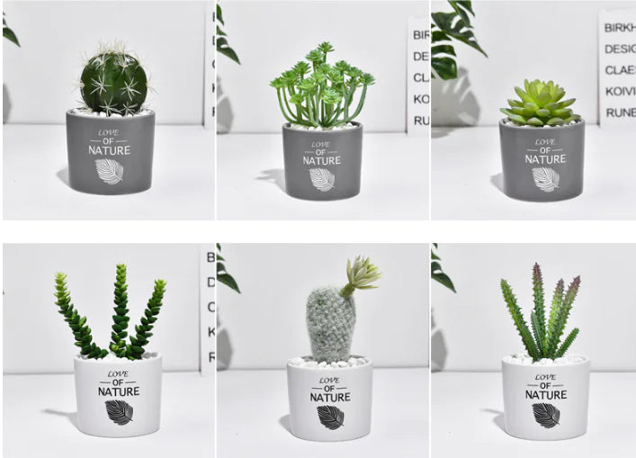 Mini Faux Cactus Plant Pot - Nordic Green Decor