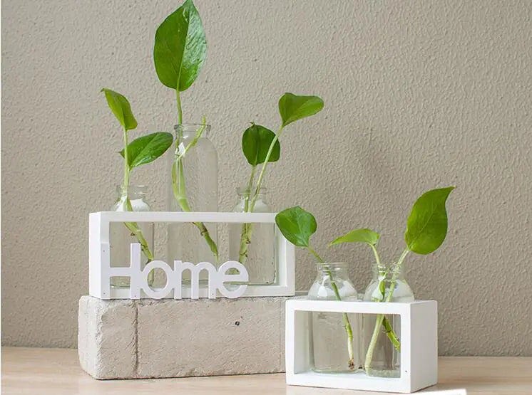 Transparent Glass Hydroponic Vase for Home Decor