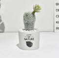 Mini Faux Cactus Plant Pot - Nordic Green Decor