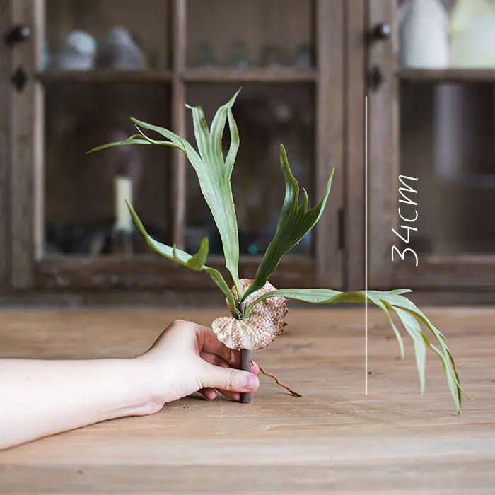 Large Faux Staghorn Fern Tropical Plant Wall Decor