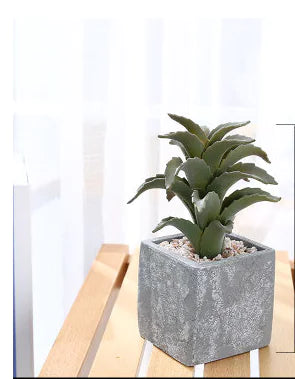 Realistic Mini Plastic Plant Pots - Cactus & Aloe Decor