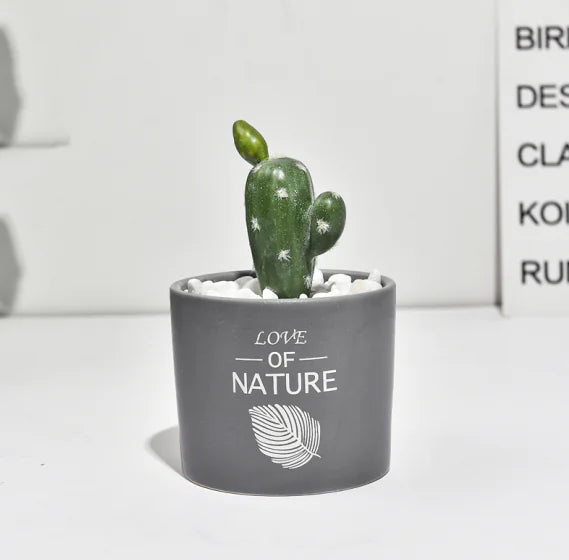 Mini Faux Cactus Plant Pot - Nordic Green Decor