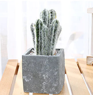 Realistic Mini Plastic Plant Pots - Cactus & Aloe Decor