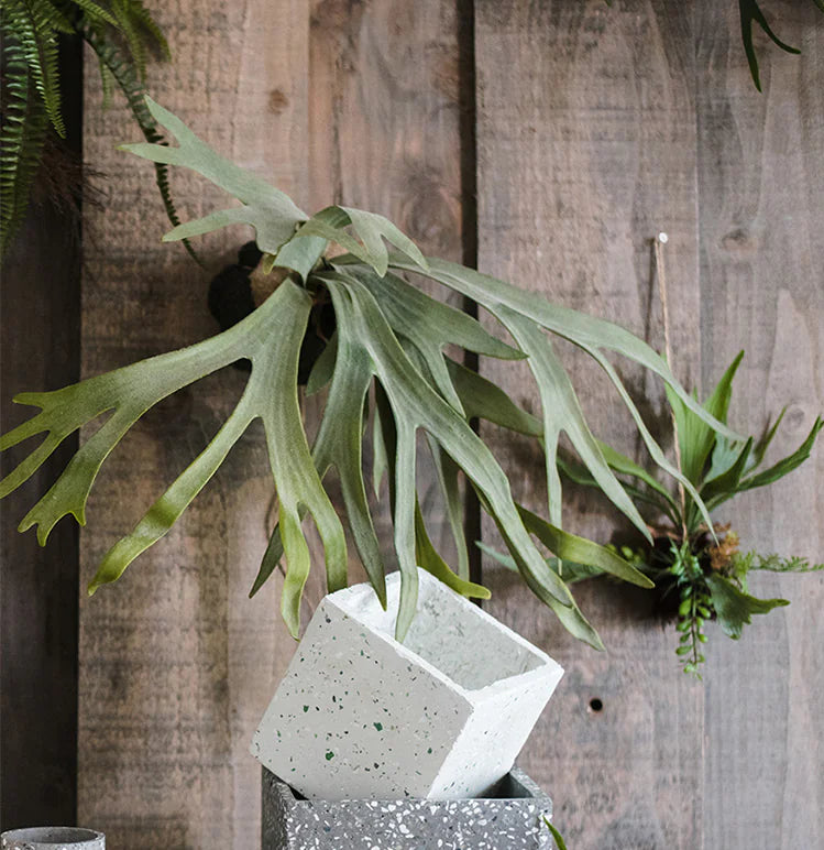 Large Faux Staghorn Fern Tropical Plant Wall Decor