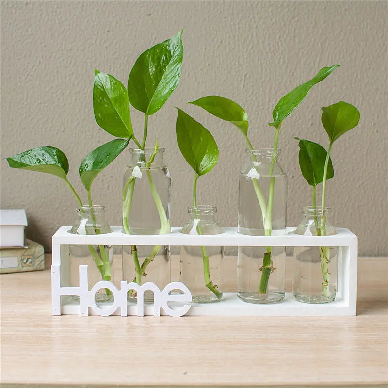 Transparent Glass Hydroponic Vase for Home Decor